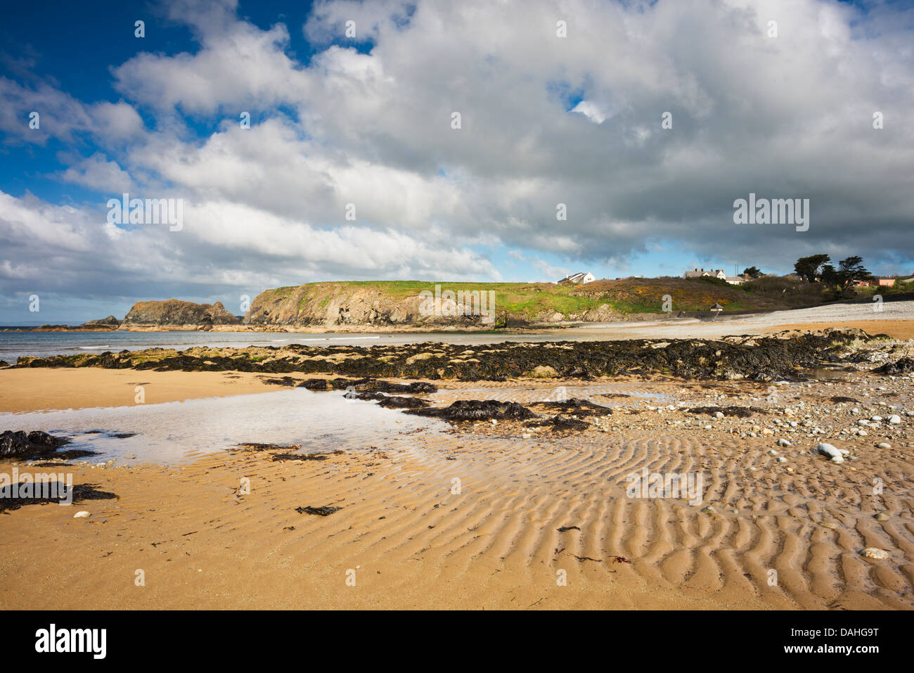 Blick nach Osten über Annestown Strang in der Copper Coast Geopark, Grafschaft Waterford Stockfoto