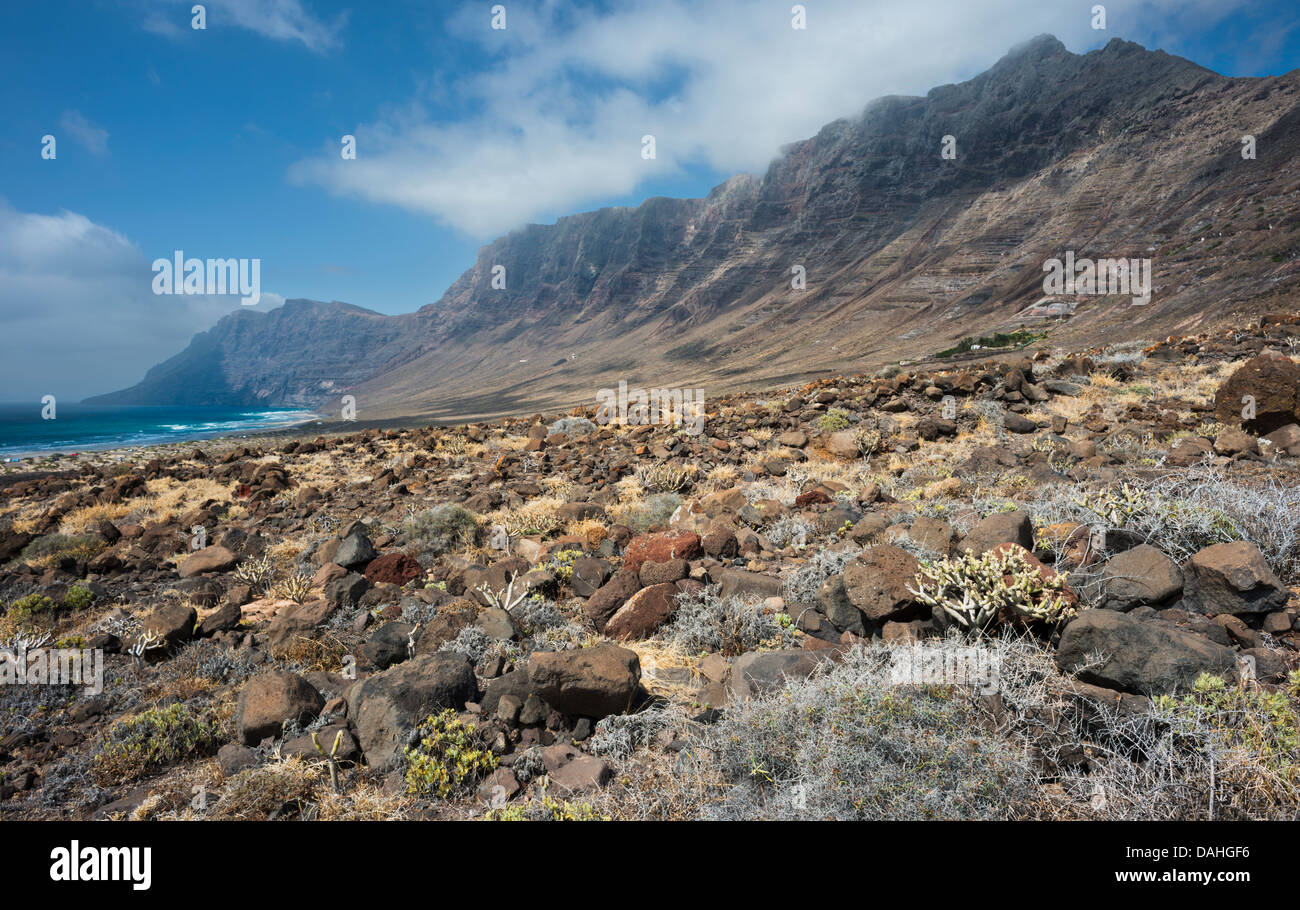 Malpais (unebenem Gelände oder Badland mit trockenem Gestrüpp) vor Famara Cliff und Strand von Caleta de Famara, Lanzarote Stockfoto