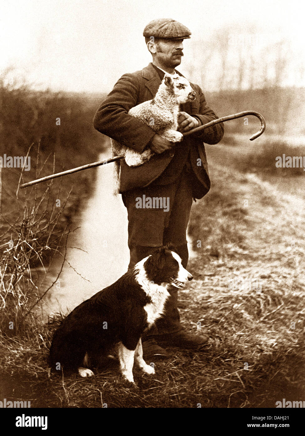 Hirte und Hund frühen 1900er Jahren Stockfoto