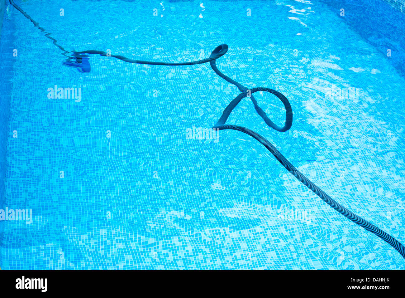 Staubsauger für Schwimmbad Stockfoto