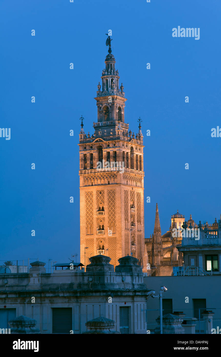 Giralda Turm, Sevilla, Region von Andalusien, Spanien, Europa Stockfoto