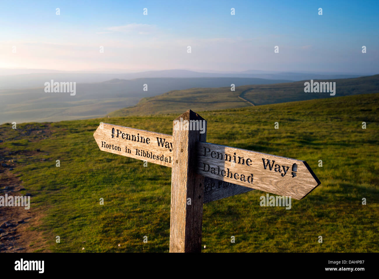 Der Pennine Way National Trail auf dem Gipfel des Pen-y-Gent, in der Nähe von Horton-in-Ribblesdale, Yorkshire Dales, Großbritannien Stockfoto