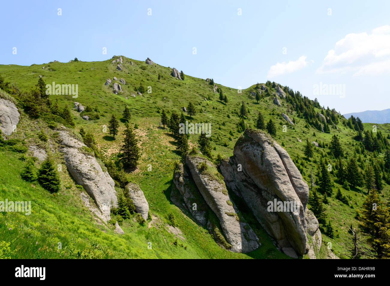 Sommer Bergweg in den Ciucas Bergen Stockfoto