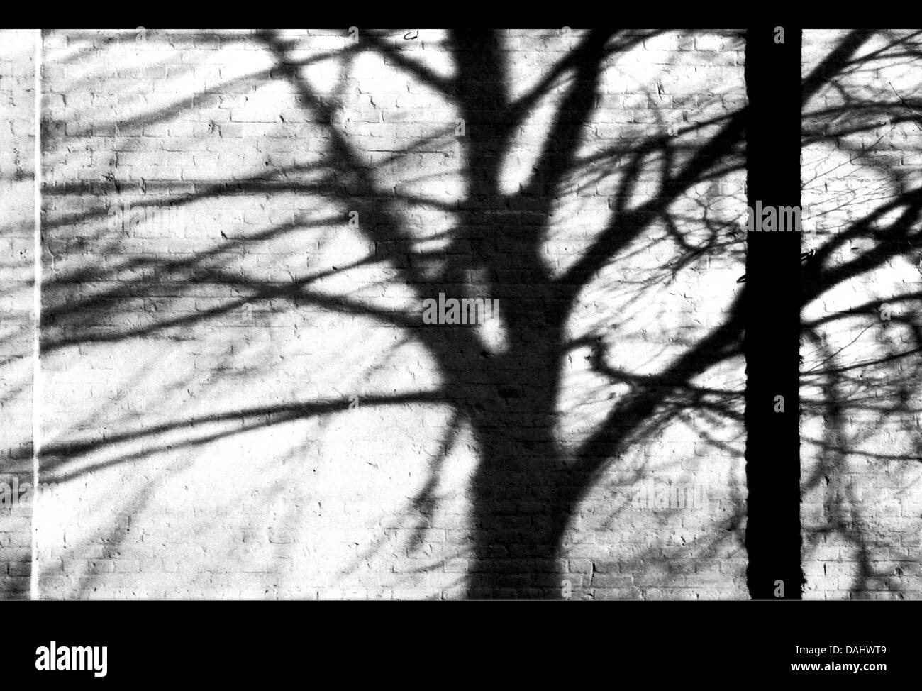 Dunkle Schatten Stockfoto