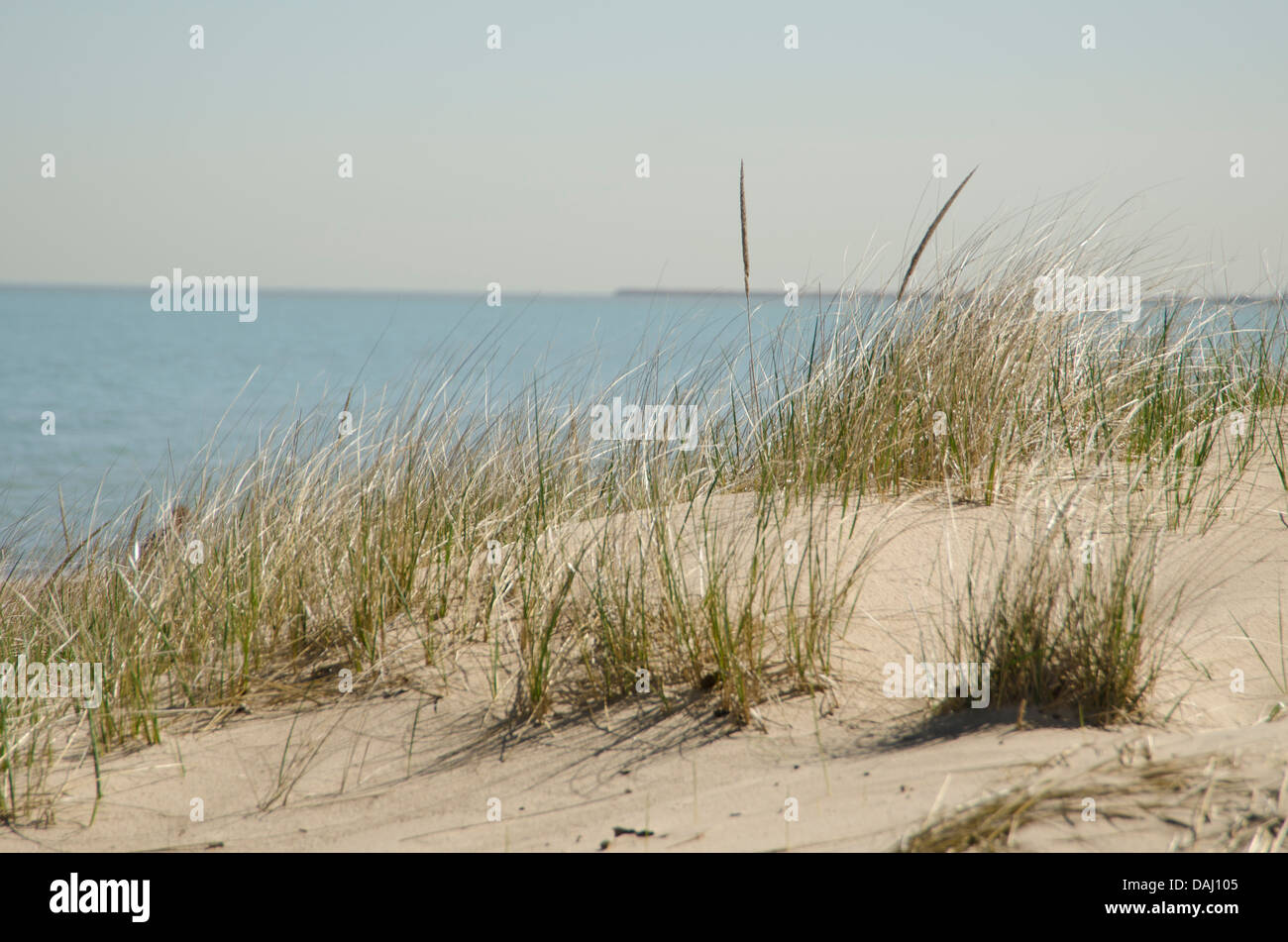 Indiana Dunes National Lakeshore, Indiana, Vereinigte Staaten von Amerika Stockfoto