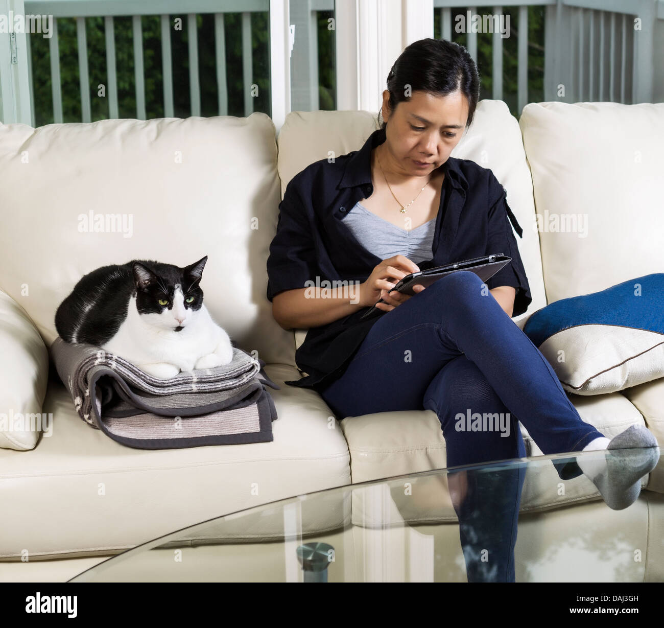 Foto von Reife Frau und Familie Katze ruht auf der Couch im Wohnzimmer mit großen Fenstern im Hintergrund Stockfoto