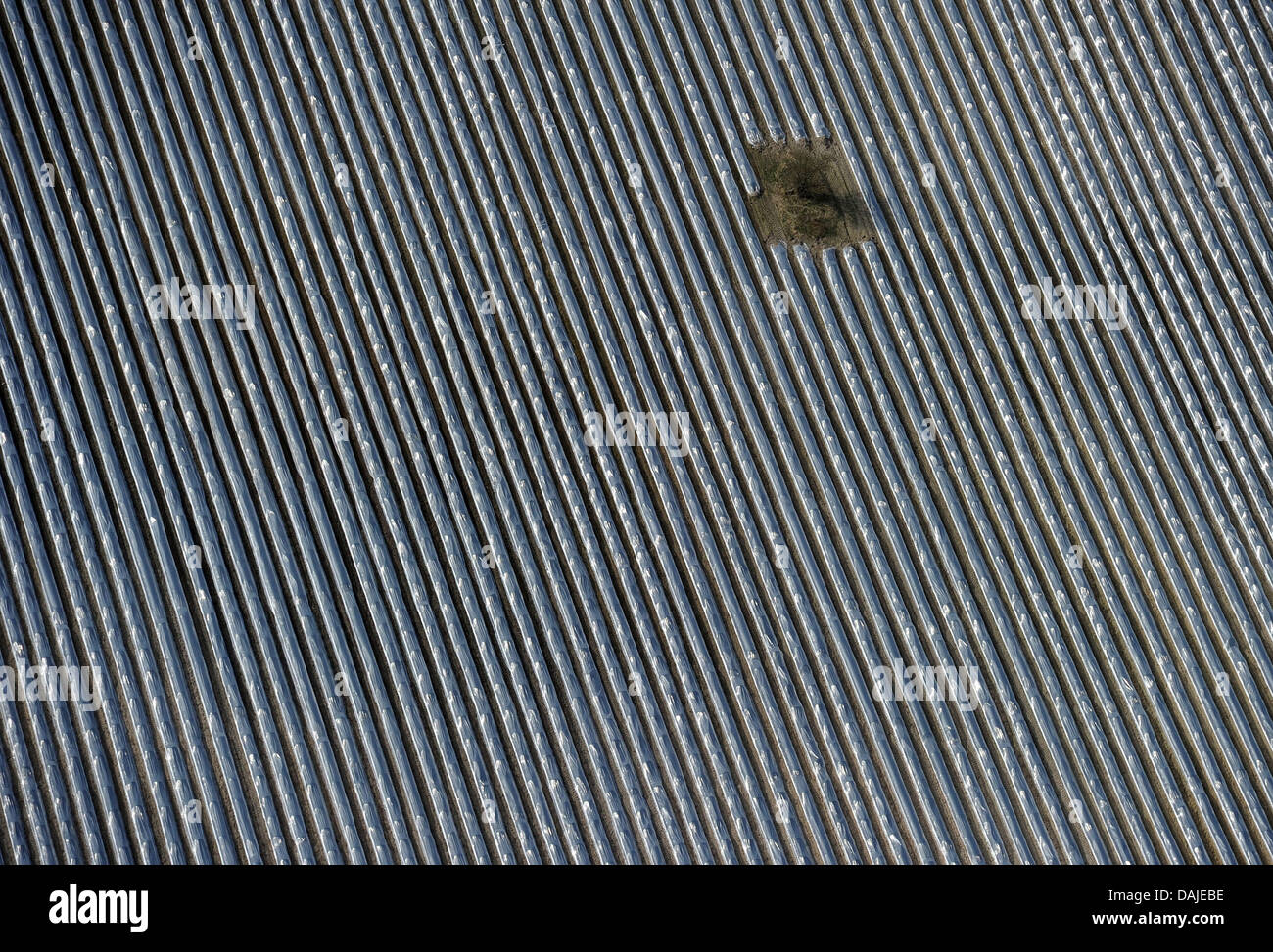 Eine Luftaufnahme aus einem kleinen Flugzeug zeigt ein Feld, in dem die Spargelernte beginnt, in Schoenhagen, Deutschland, 3. April 2011. Wegen des warmen Wetters konnte bereits die Spargelernte beginnt, aber nur geringe Mengen an das begehrte Gemüse im Moment geerntet werden. Foto: Patrick Pleul Stockfoto