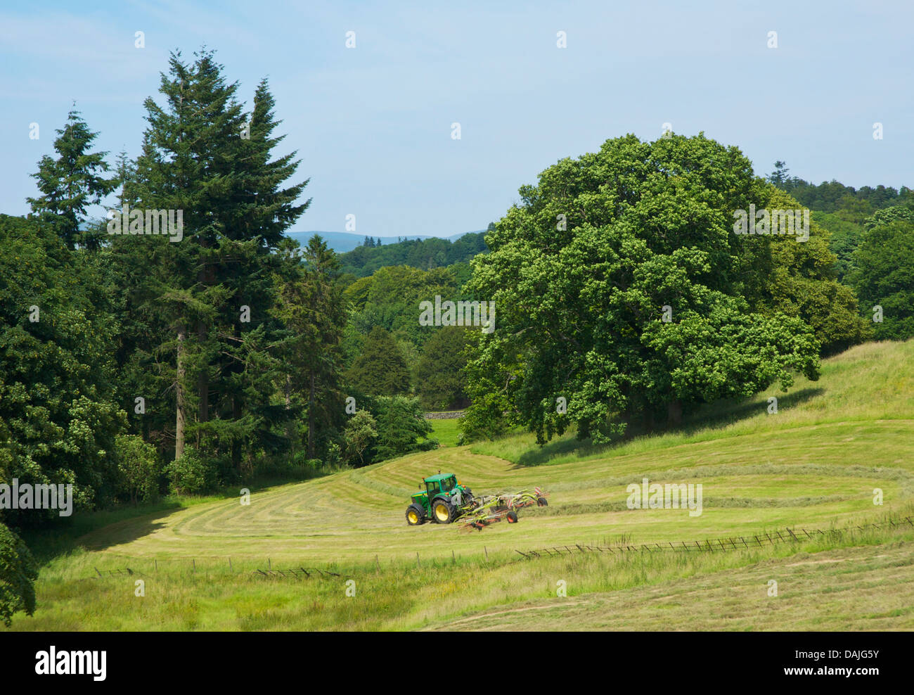 Heu-machen in der Nähe von Bowness, Nationalpark Lake District, Cumbria, England UK Stockfoto