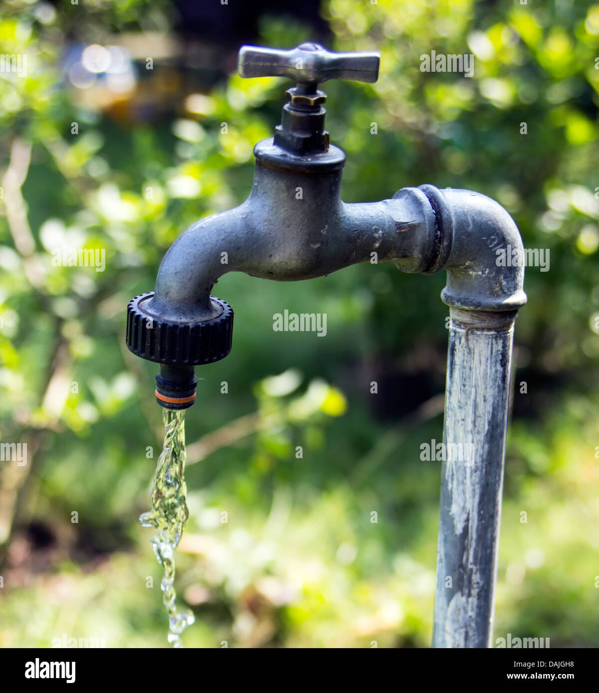 alte Garten Armatur austretendes Wasser Stockfoto