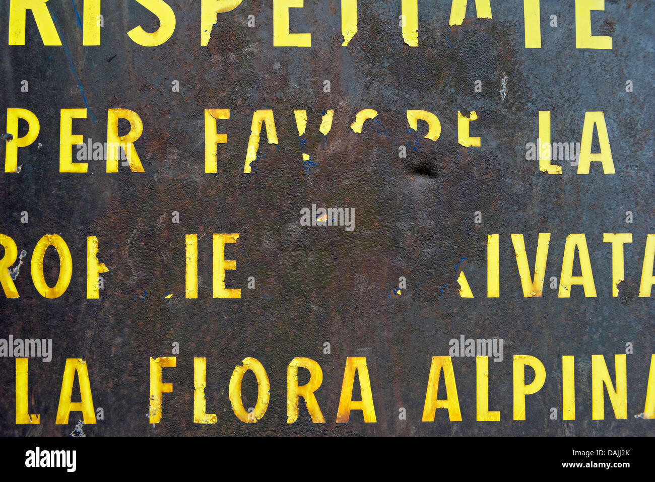 Italien, alte schäbige italienische Schild über Alpenflora Stockfoto