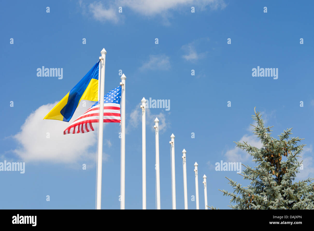 Zurückgehende Reihe von Fahnenmasten vor blauem Himmel unter der amerikanischen und ukrainischen Flagge am oberen Rand einer Kiefer auf der rechten Seite Stockfoto