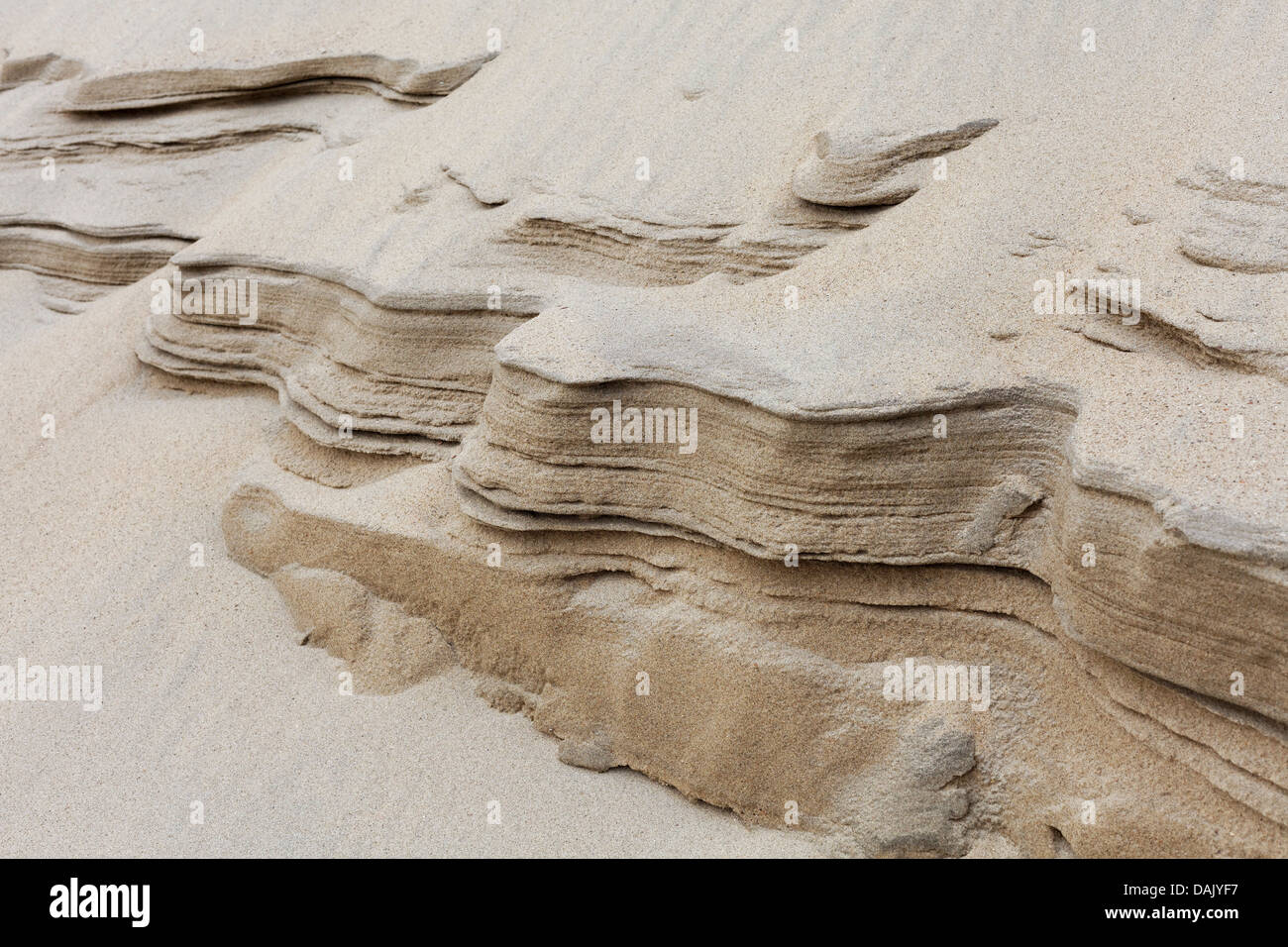 Sanddüne mit Wind-Erosion, Nordseeküste Stockfoto