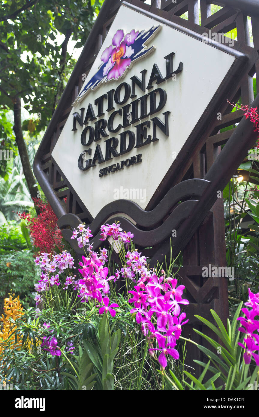dh National Orchid Garden BOTANIC GARDENS SINGAPUR Singapur Schild und Orchidee blüht botanische Orchideen Stockfoto