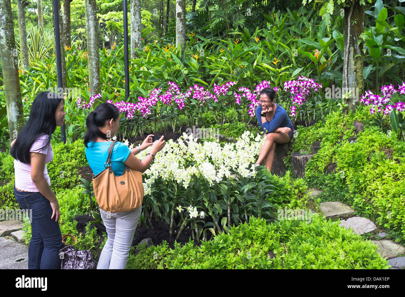 Dh National Orchid Garden Botanischer Garten Singapur Asiatische