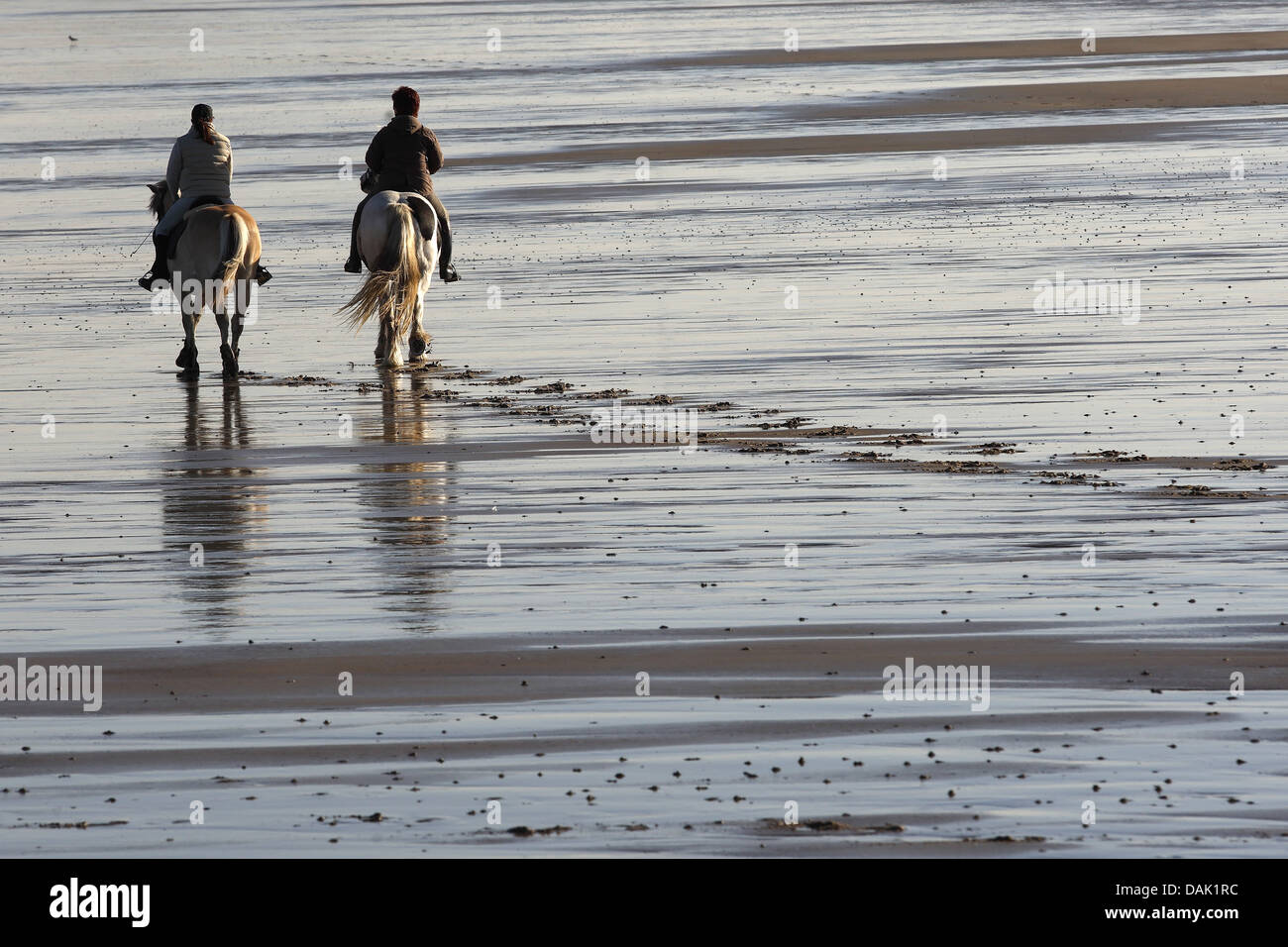 zwei Freizeit-Reiter am Strand Nordsee, Belgien Stockfoto