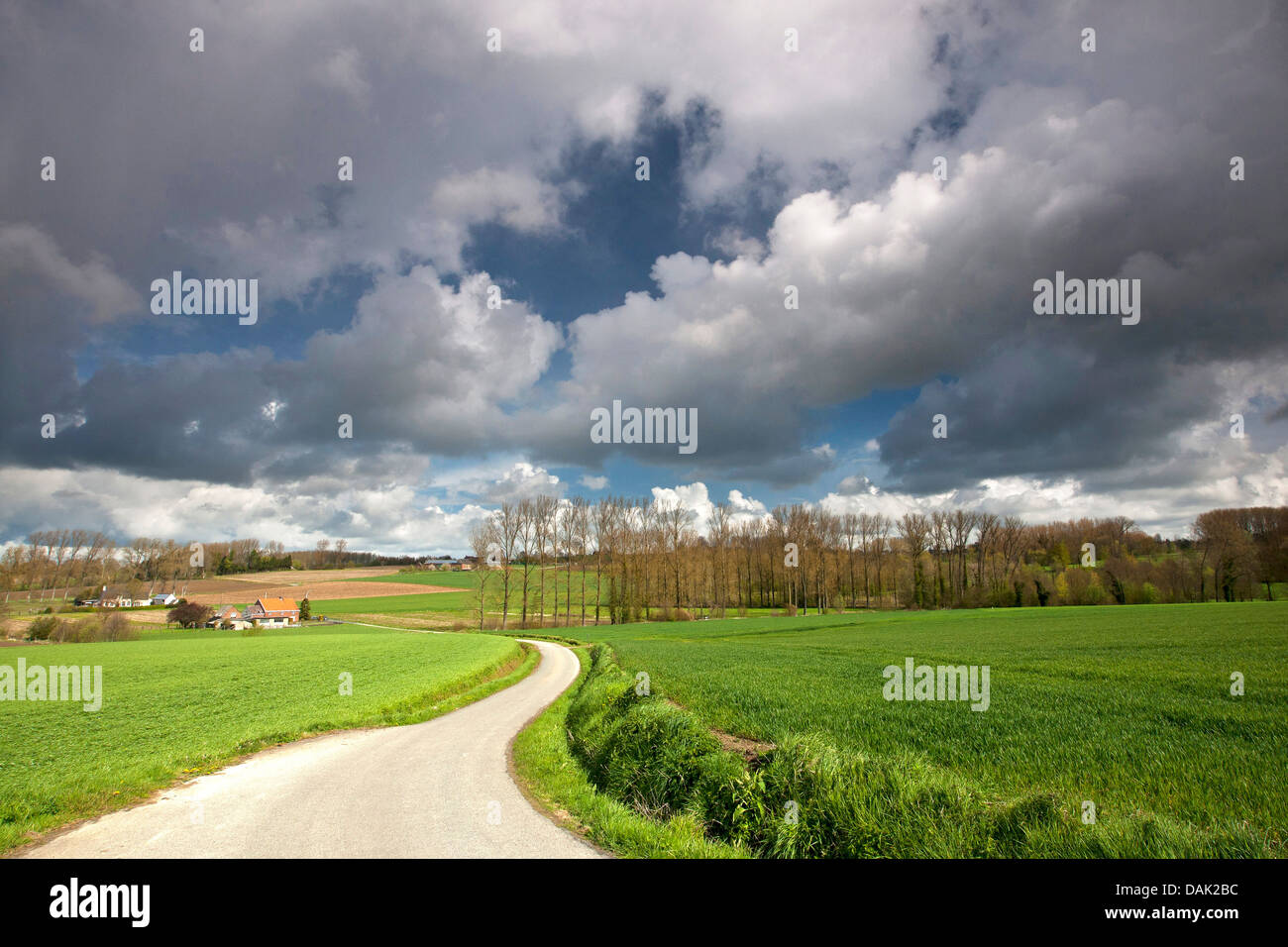 Pfad im hügeligen Feld und Wiese Landschaft, Belgien, Ardennen, Flaemische Ardennen Stockfoto