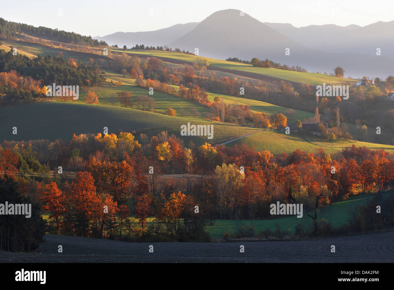 Autum Landschaft im Nationalpark Vecors im Abendlicht, Frankreich, Vercors-Nationalpark Stockfoto