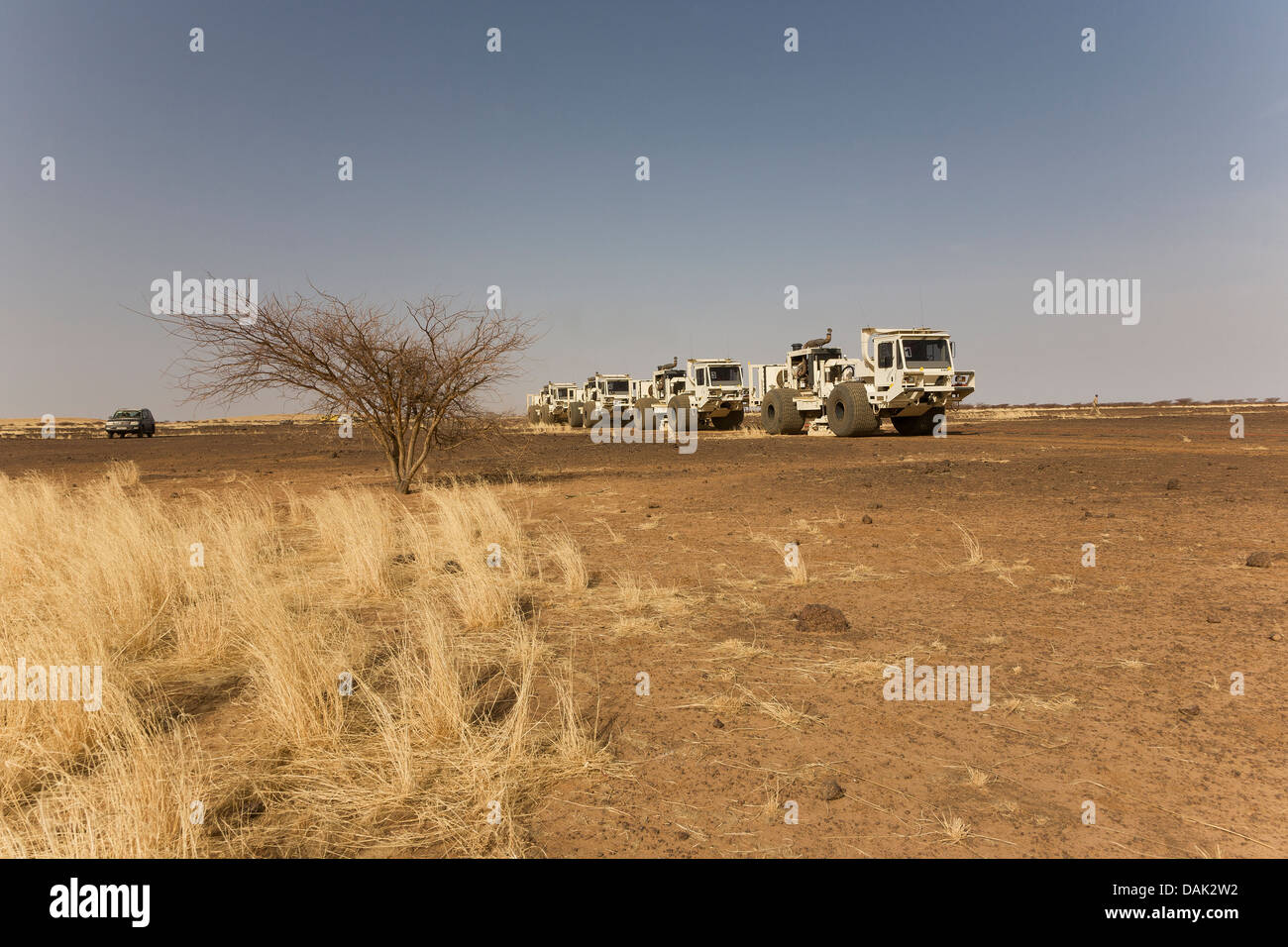 Öl-Exploration Mali. Seismische Vibrator Fahrzeuge durch Wüste und Gestrüpp-Gelände auf geophysikalische Untersuchung der Konzession. Stockfoto