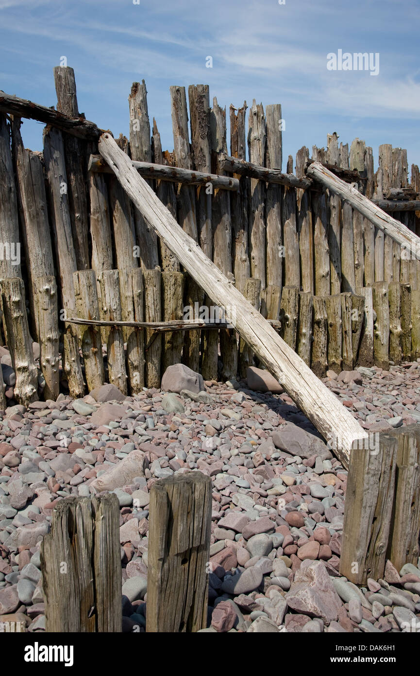 Ein Ausschnitt aus verwittertem Holz am Strand von Porlock, Somerset, England. Stockfoto