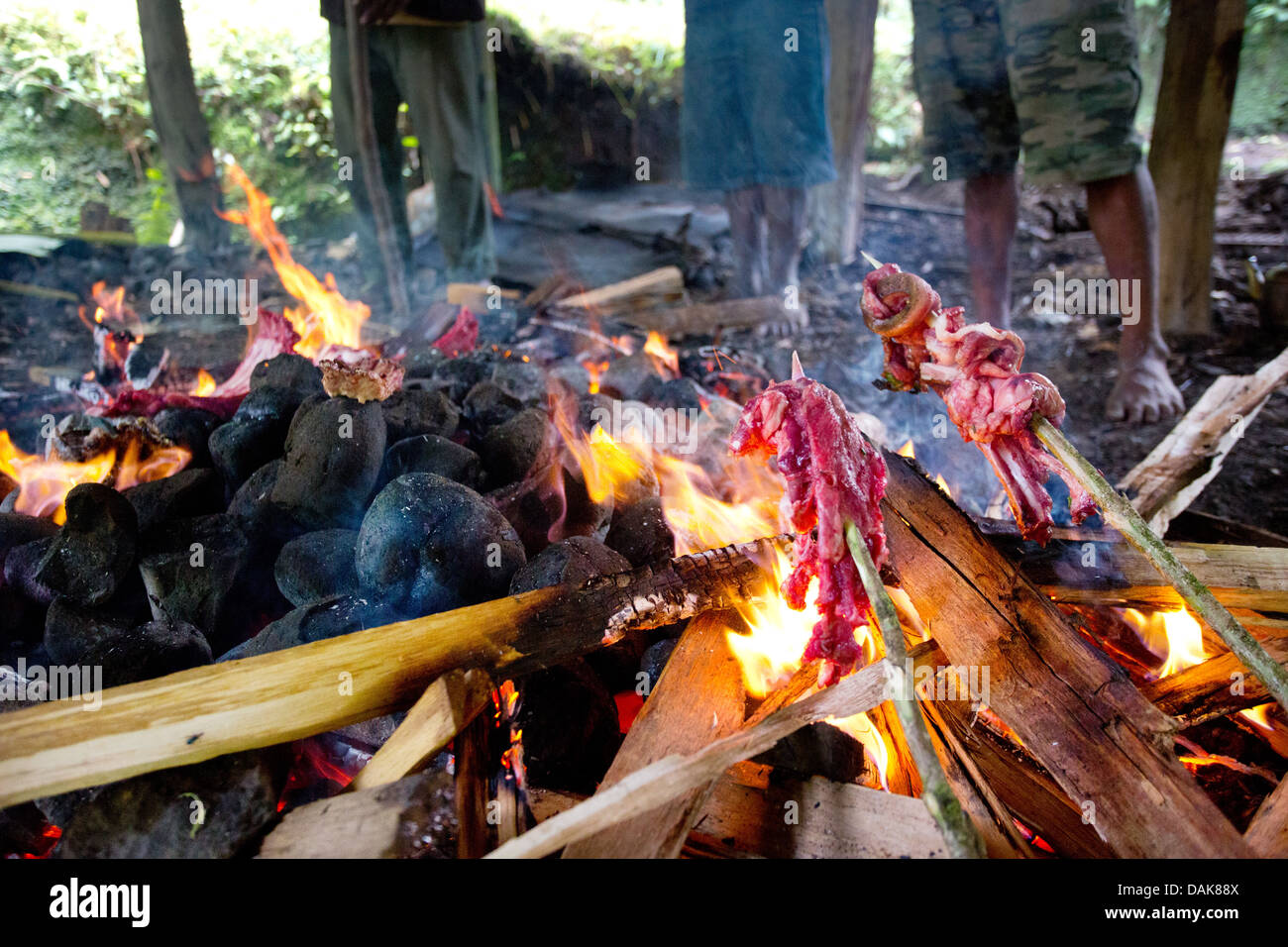 Schweinefleisch kochen über eine traditionelle Papua Neuguinea Erde Backofen oder "Mumu", Provinz Enga, Papua New Guinea Stockfoto