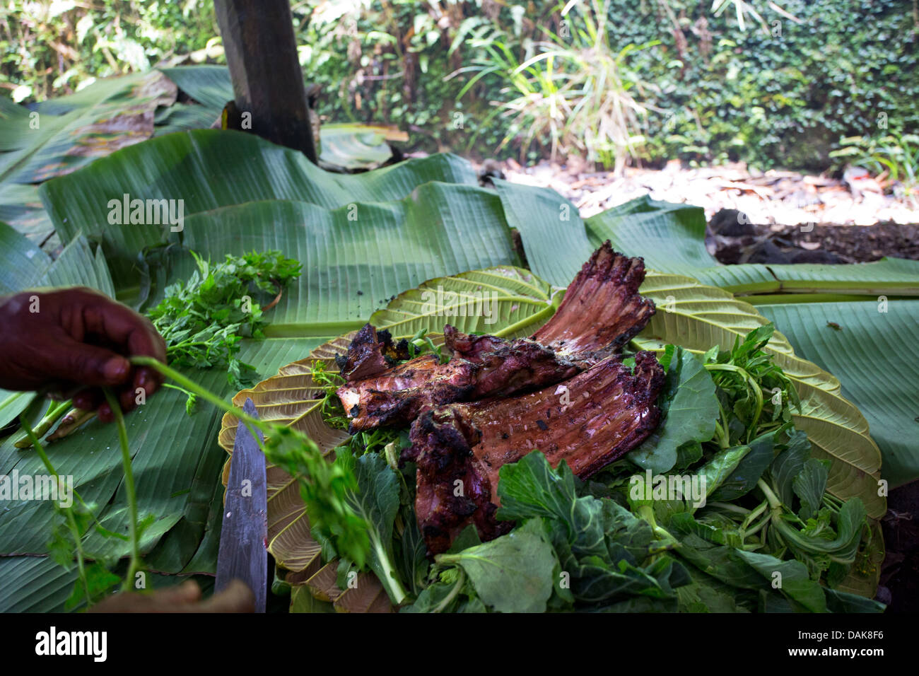 Schweinerippen gekocht über eine traditionelle Papua Neuguinea Erde Backofen oder "Mumu", Provinz Enga, Papua New Guinea Stockfoto
