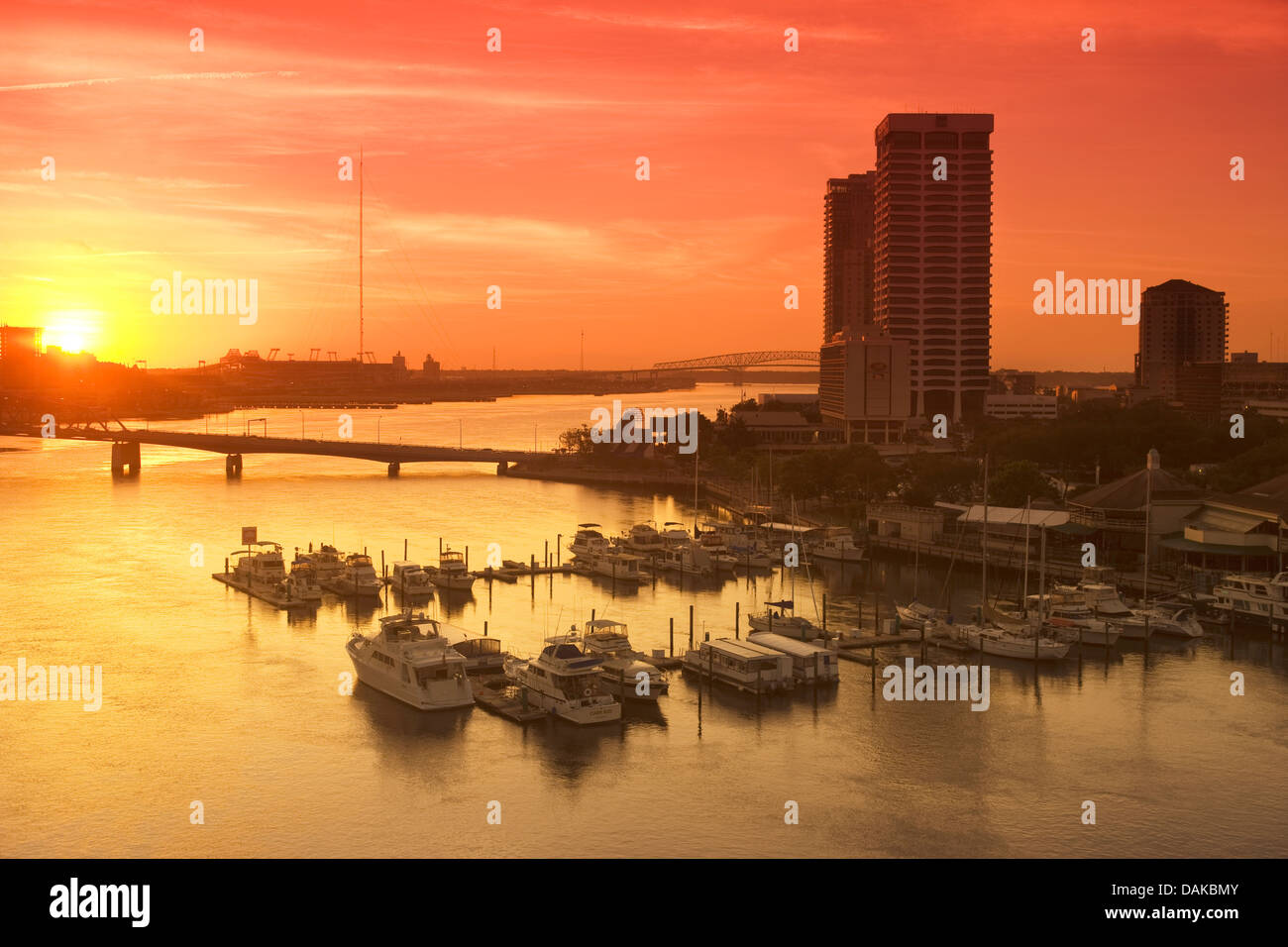 MARINA SOUTH BANK WATERFRONT SAINT JOHNS RIVER JACKSONVILLE FLORIDA USA Stockfoto