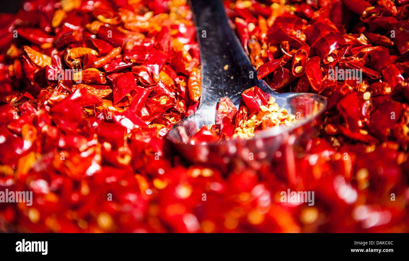 Rote heiße Chili Dorset Sea Food Festival 2013 im Hafen von Weymouth Stockfoto