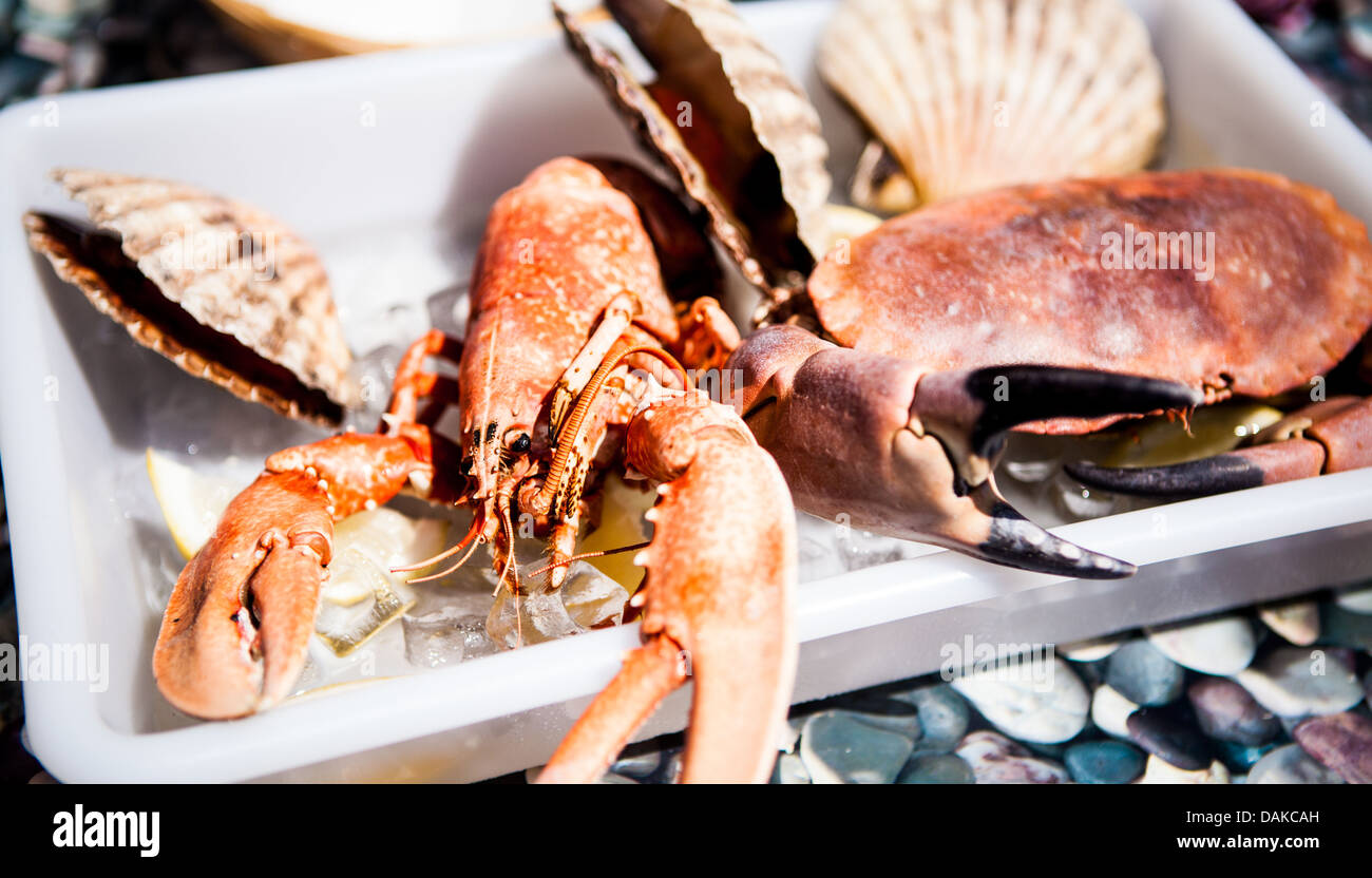 Hummer, Krabben und Muscheln Dorset Meer Essen Festival 2013 im Hafen von Weymouth Stockfoto