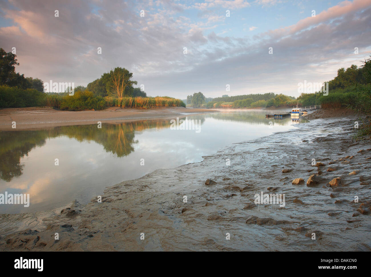 schlammigen Ufer des Flusses Durme, Belgien Stockfoto
