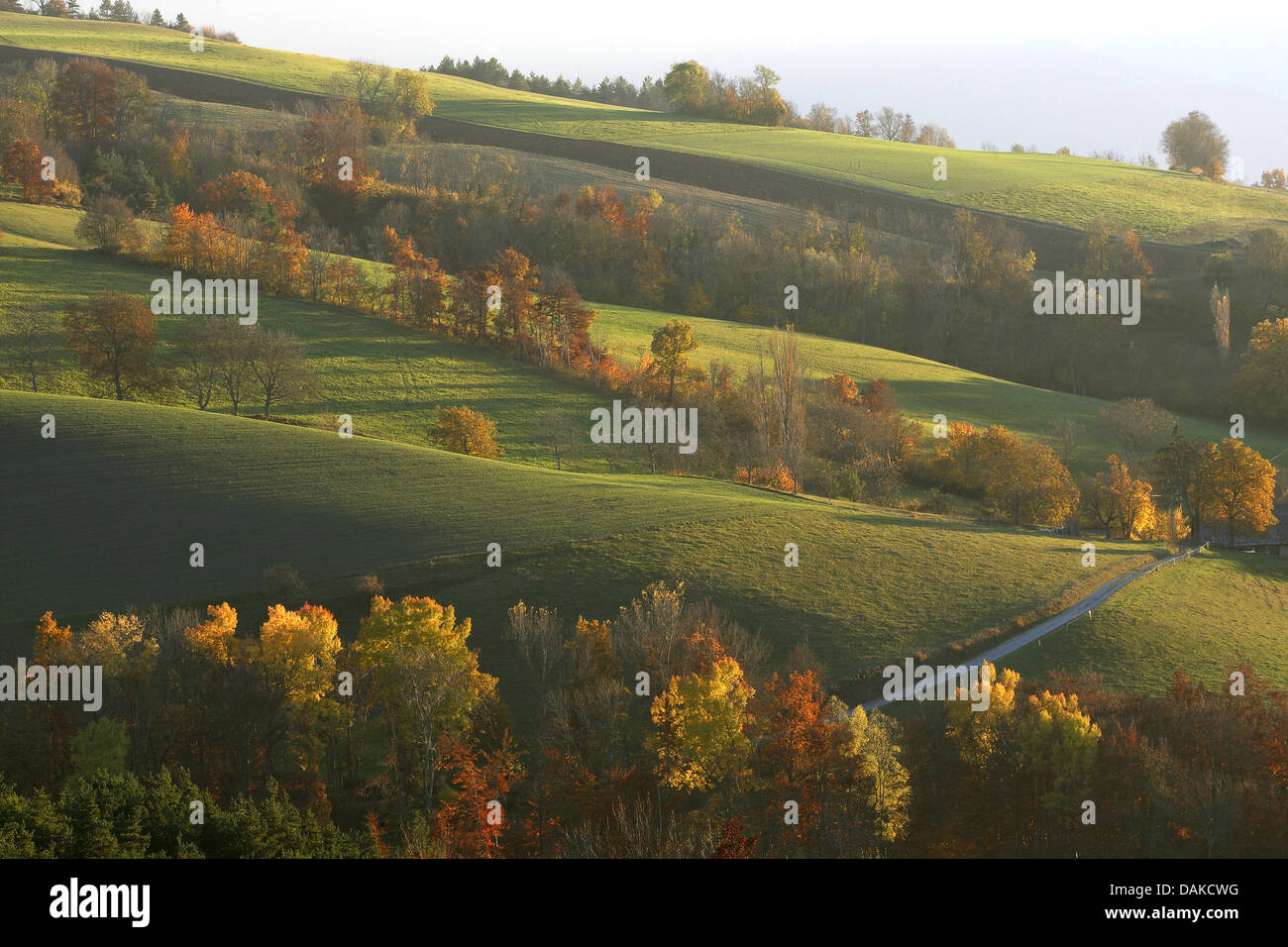 hügelige Landschaft, Frankreich, Vercors-Nationalpark Stockfoto