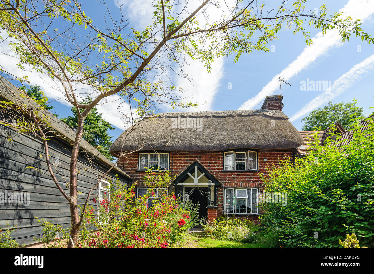 Reetdachhaus Burley im New Forest Stockfoto