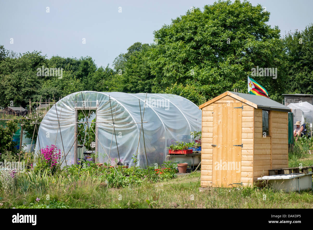 Allotment Shed und Folientunnel Stockfoto