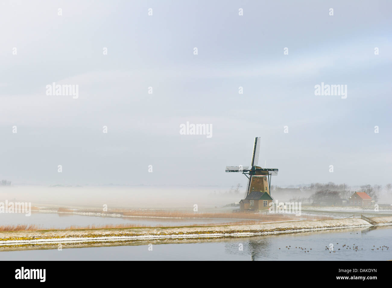 Windmühle in den Morgen Nebel, Niederlande, Texel Stockfoto