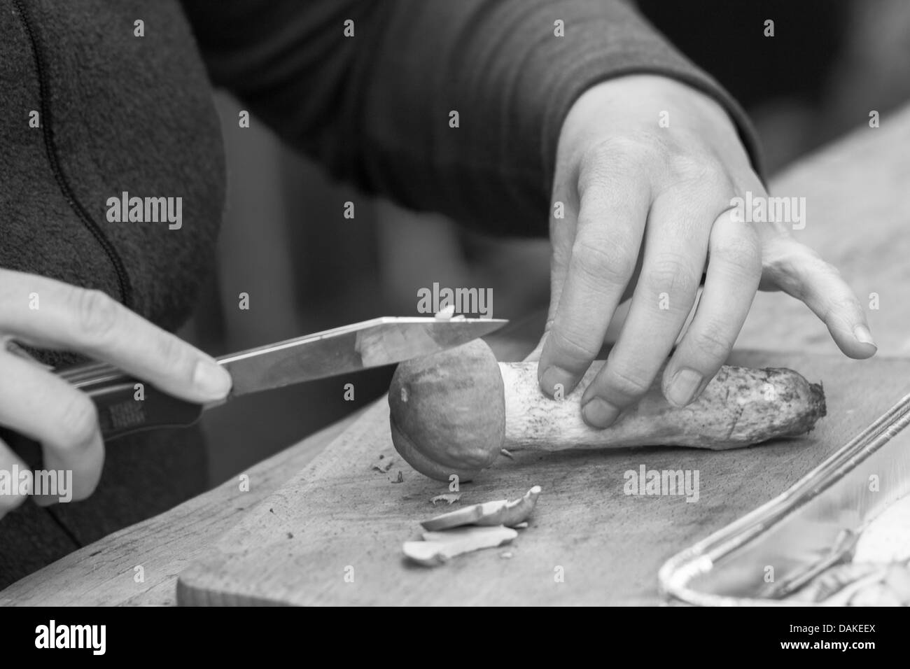 Bereiten Sie Pilze zum Trocknen Stockfoto