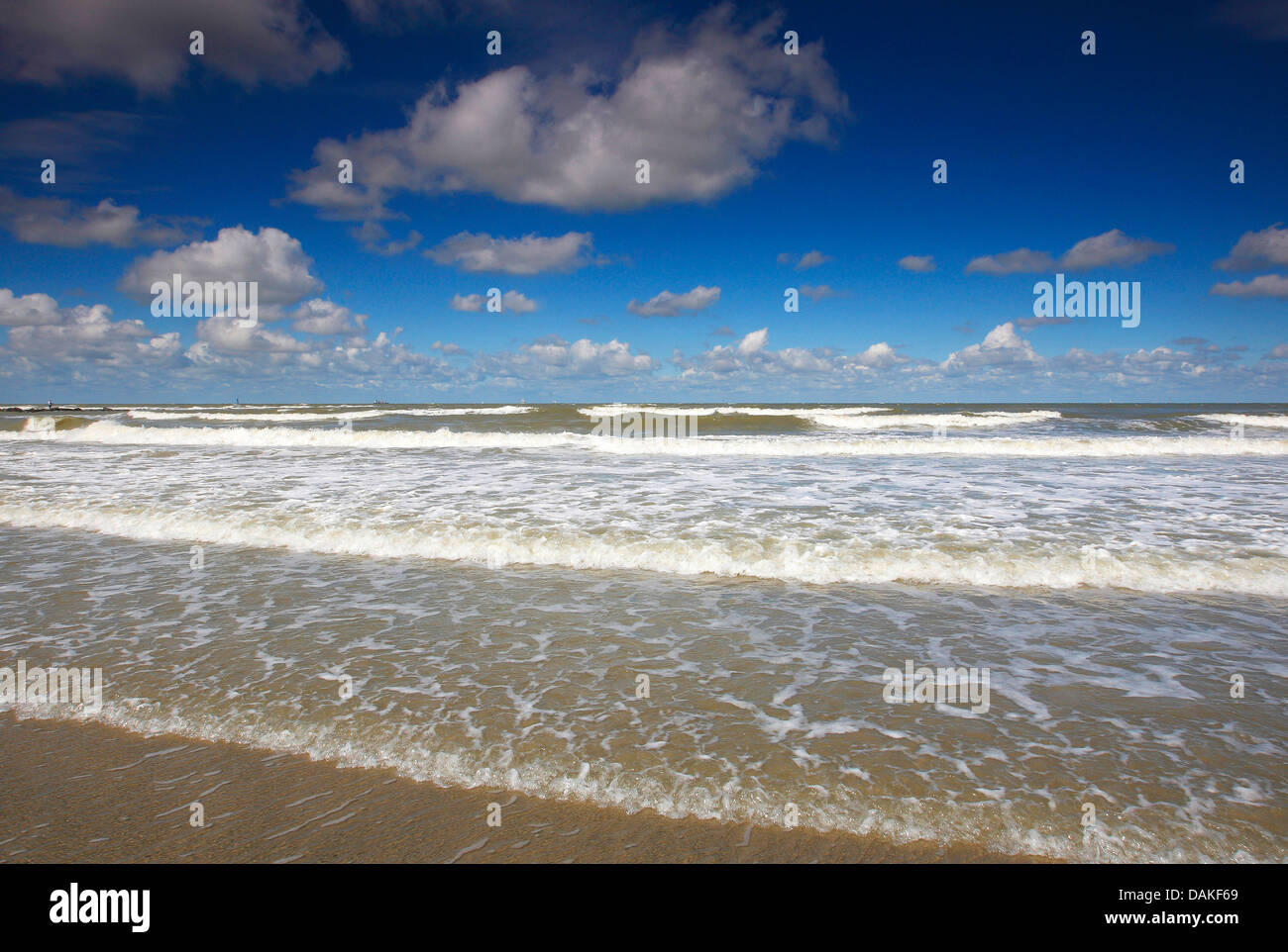 Überspannungsschutz an der Nordsee Küste, Niederlande Stockfoto
