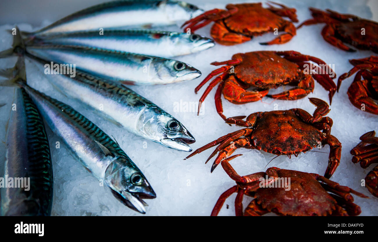 Frischer Fisch und Krabben Dorset Sea Food Festival 2013 im Hafen von Weymouth Stockfoto