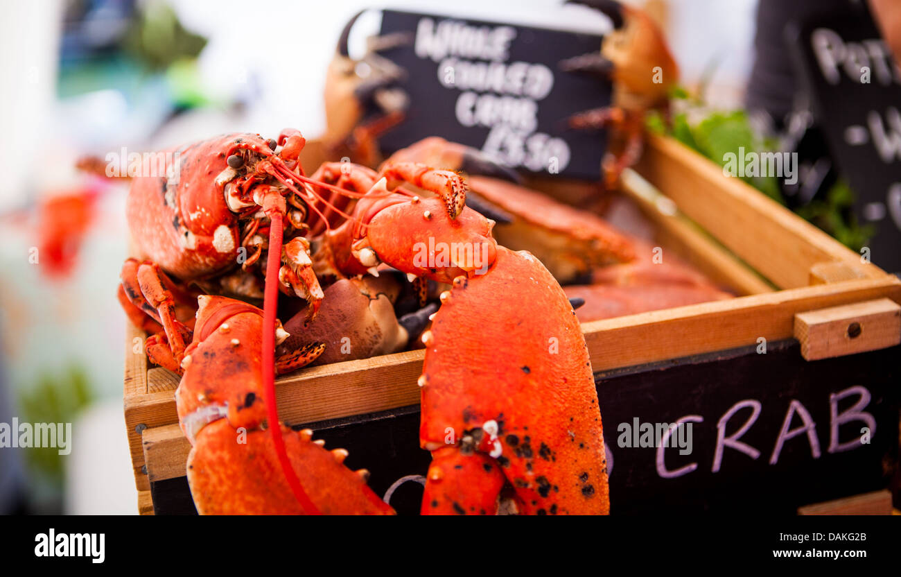 Hummer auf Dorset Sea Food Festival 2013 im Hafen von Weymouth Stockfoto