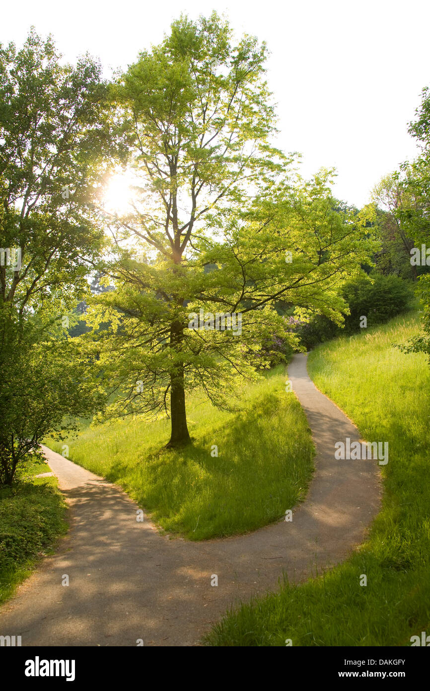 Trennung der wege am hang Fotos und Bildmaterial in hoher Auflösung
