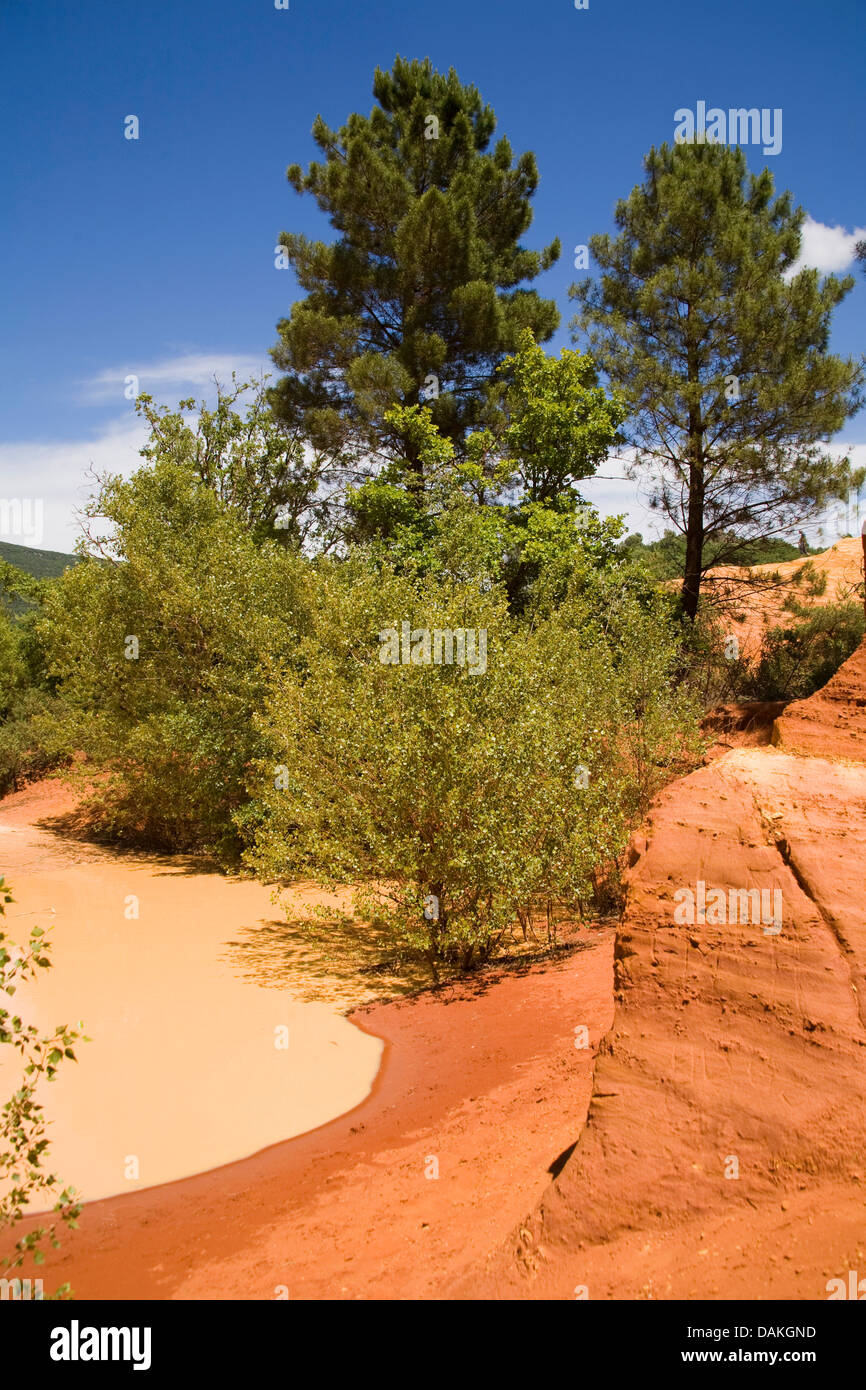 Ocre Felsen, Rustrel, Provence, Frankreich, Französisch-Colorado Stockfoto