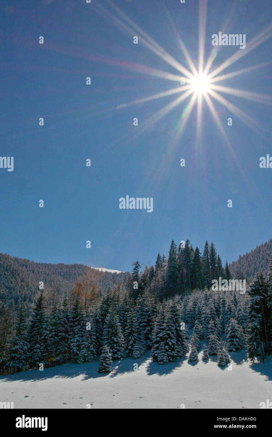 klarer blauen Himmel über tief verschneiten Wald und Auenlandschaft, Oberbayern, Oberbayern, Bayern, Deutschland Stockfoto