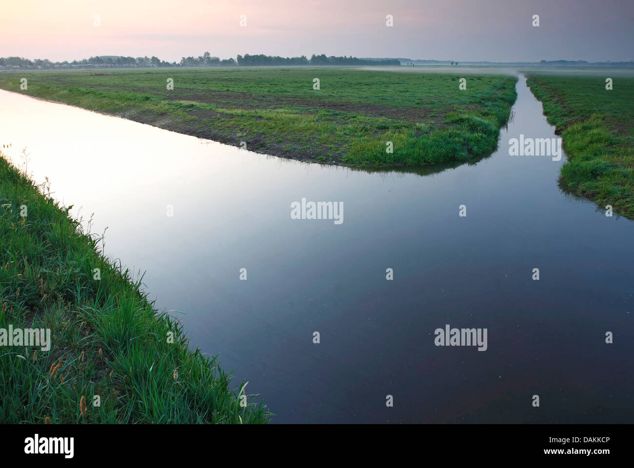 Polder Landschaft, Niederlande, Gelderland, Nijkerk Stockfoto