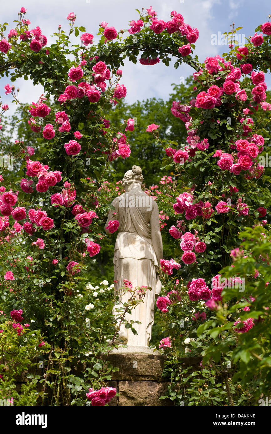 dekorative Rose (Rosa spec.), Statue einer Frau in einem blühenden Rosengarten, Deutschland Stockfoto