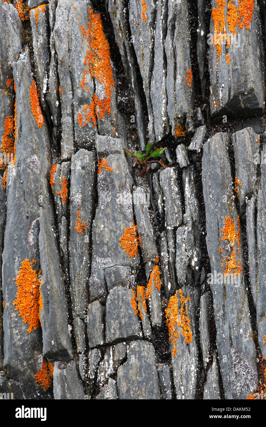 Risse im Gestein Stockfoto