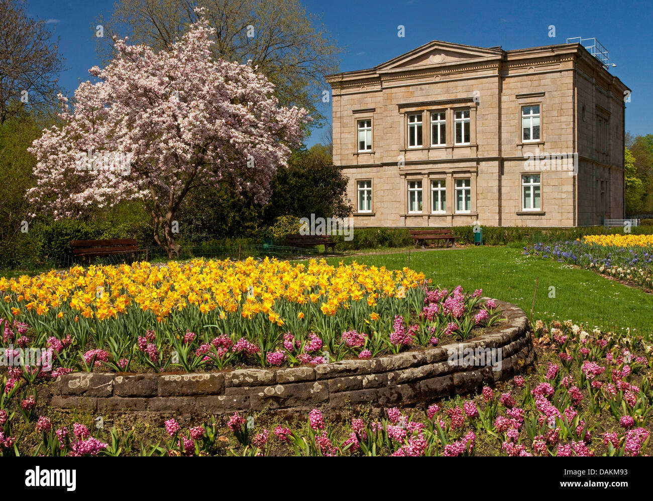 Stadtpark im Frühjahr mit ehemaligen Villa Lohmann als ein Standesamt, Witten, Ruhrgebiet, Nordrhein-Westfalen, Deutschland Stockfoto