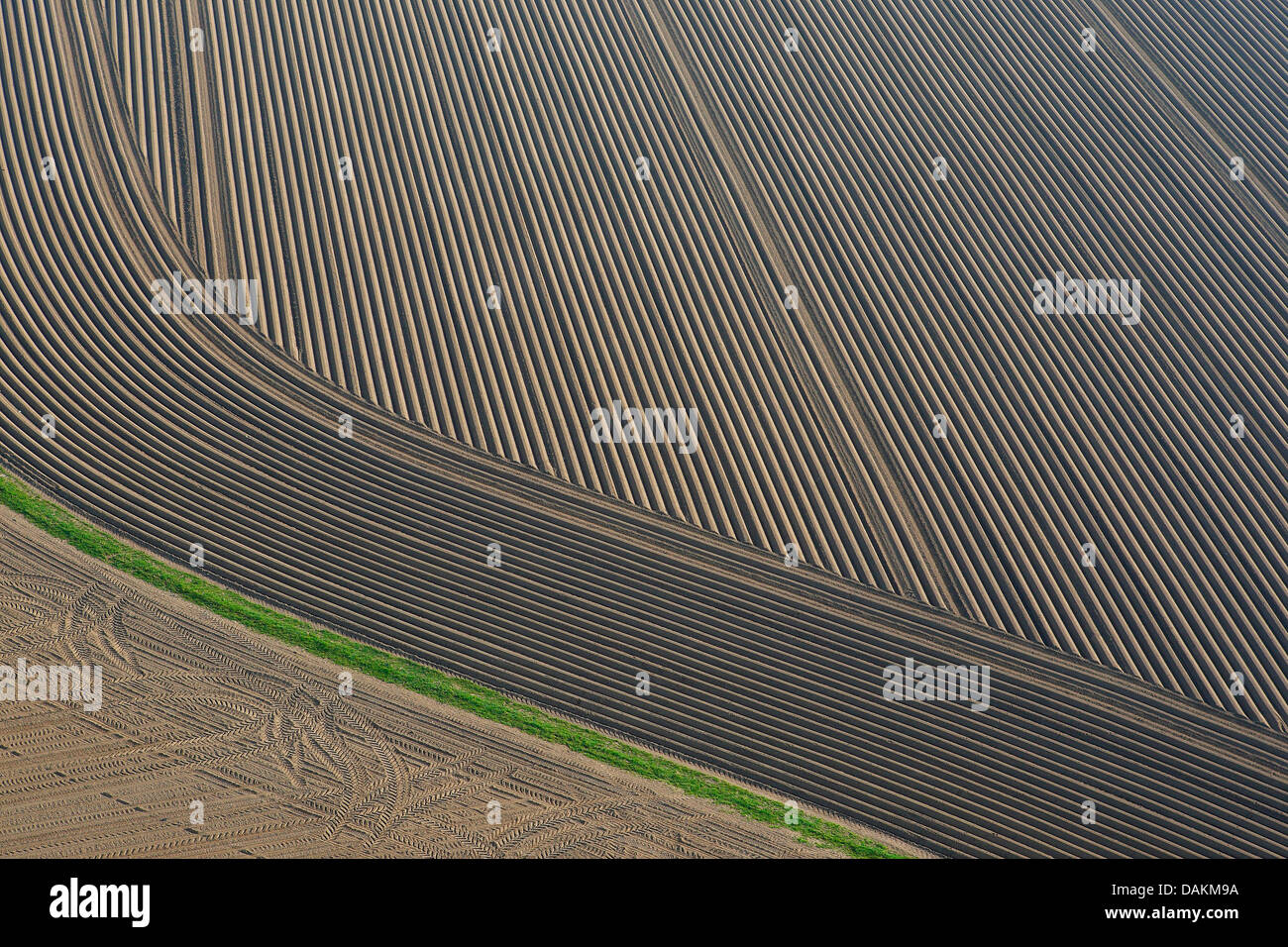 Luftbild, Hektar, Belgien Stockfoto