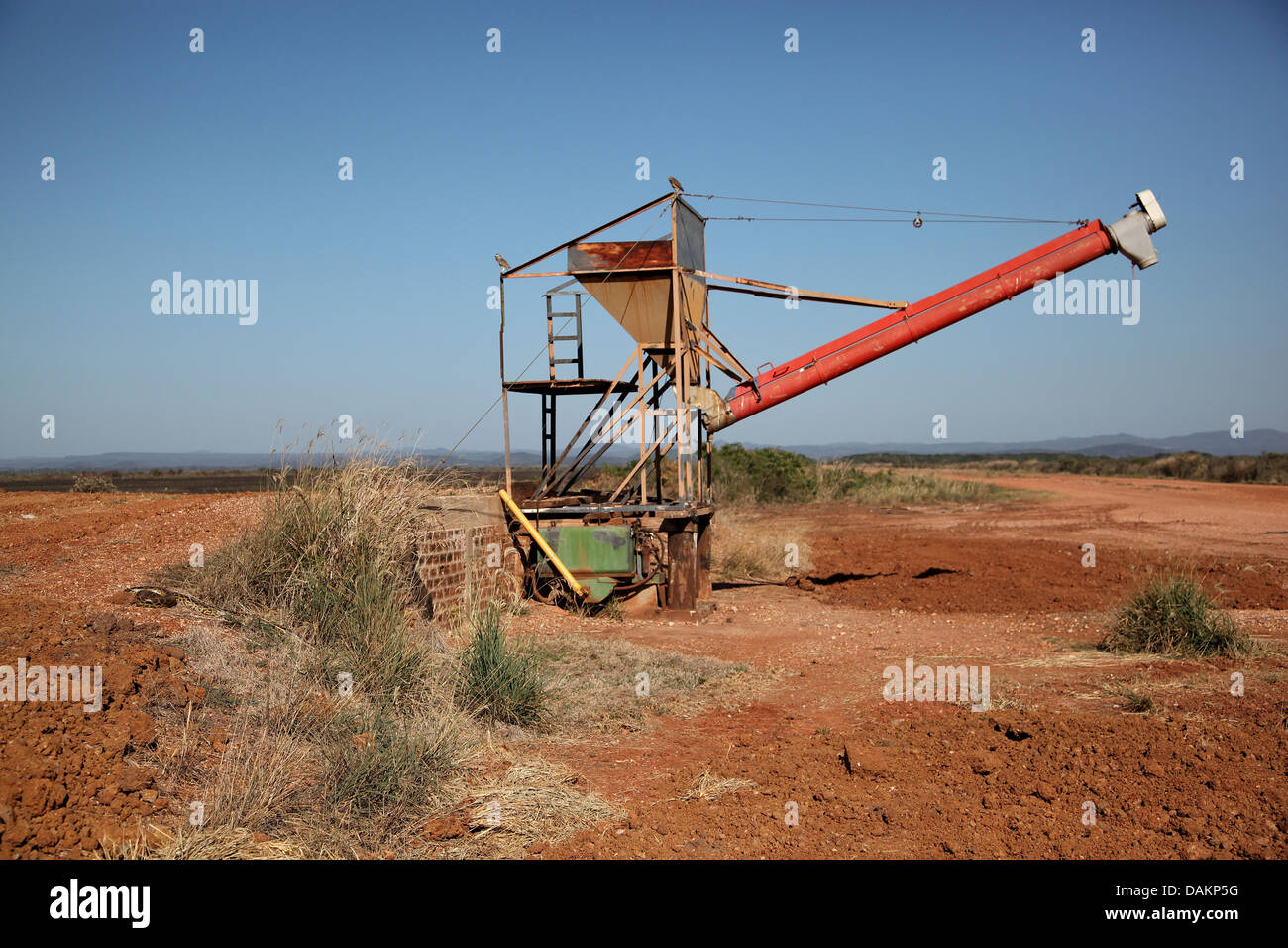 Kanincheneule (Athene Cunicularia), sitzt auf einem landwirtschaftlichen Gerüst und Fixierung auf eine Anakonda, Brasilien, Mato Grosso do Sul Stockfoto