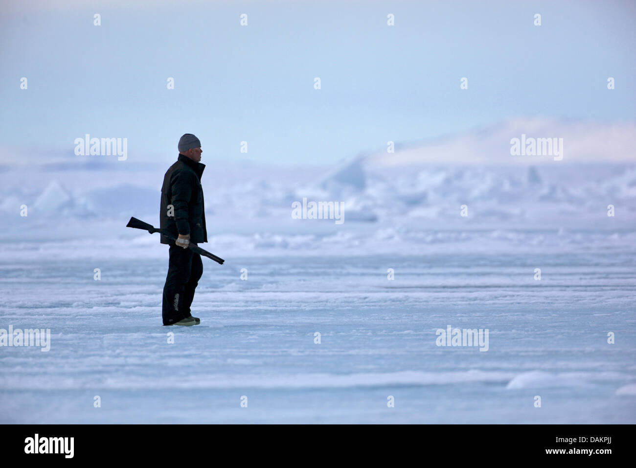 Eisbär Guard, Kanada, Nunavut Stockfoto
