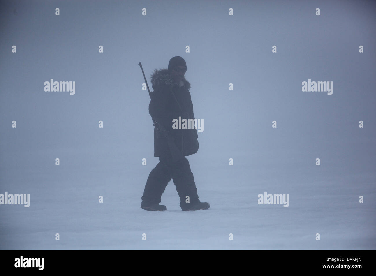 Eisbär-Guard im Nebel, Kanada, Nunavut Stockfoto