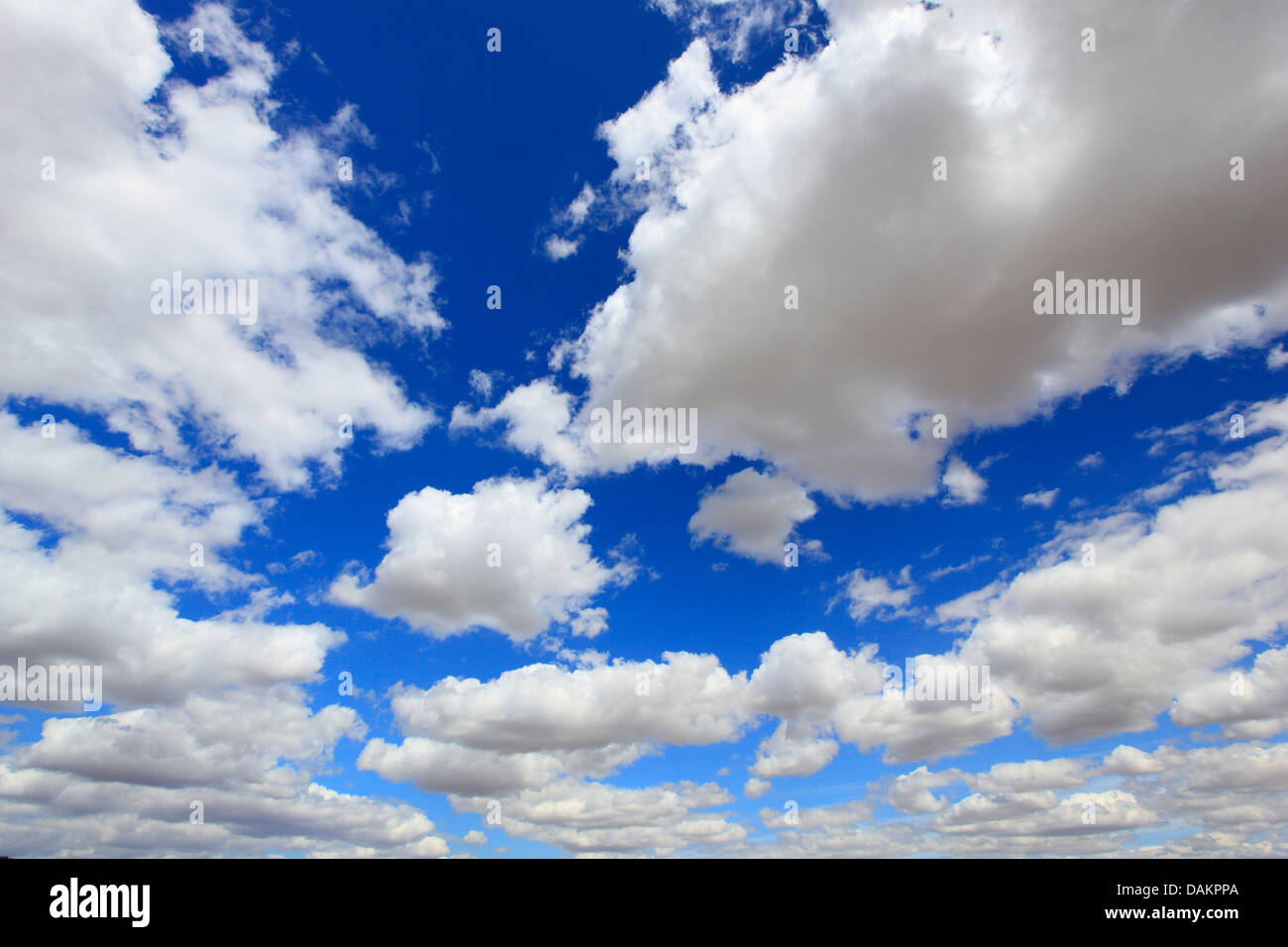 Cumulus-Wolken am Himmel, Schweiz Stockfoto