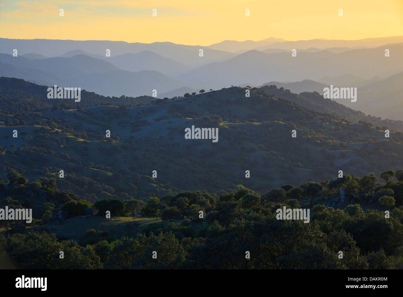 Sierra de und jar Naturpark im Abendlicht, Spanien, Andalusien, Jaen, Sierra Morena Stockfoto